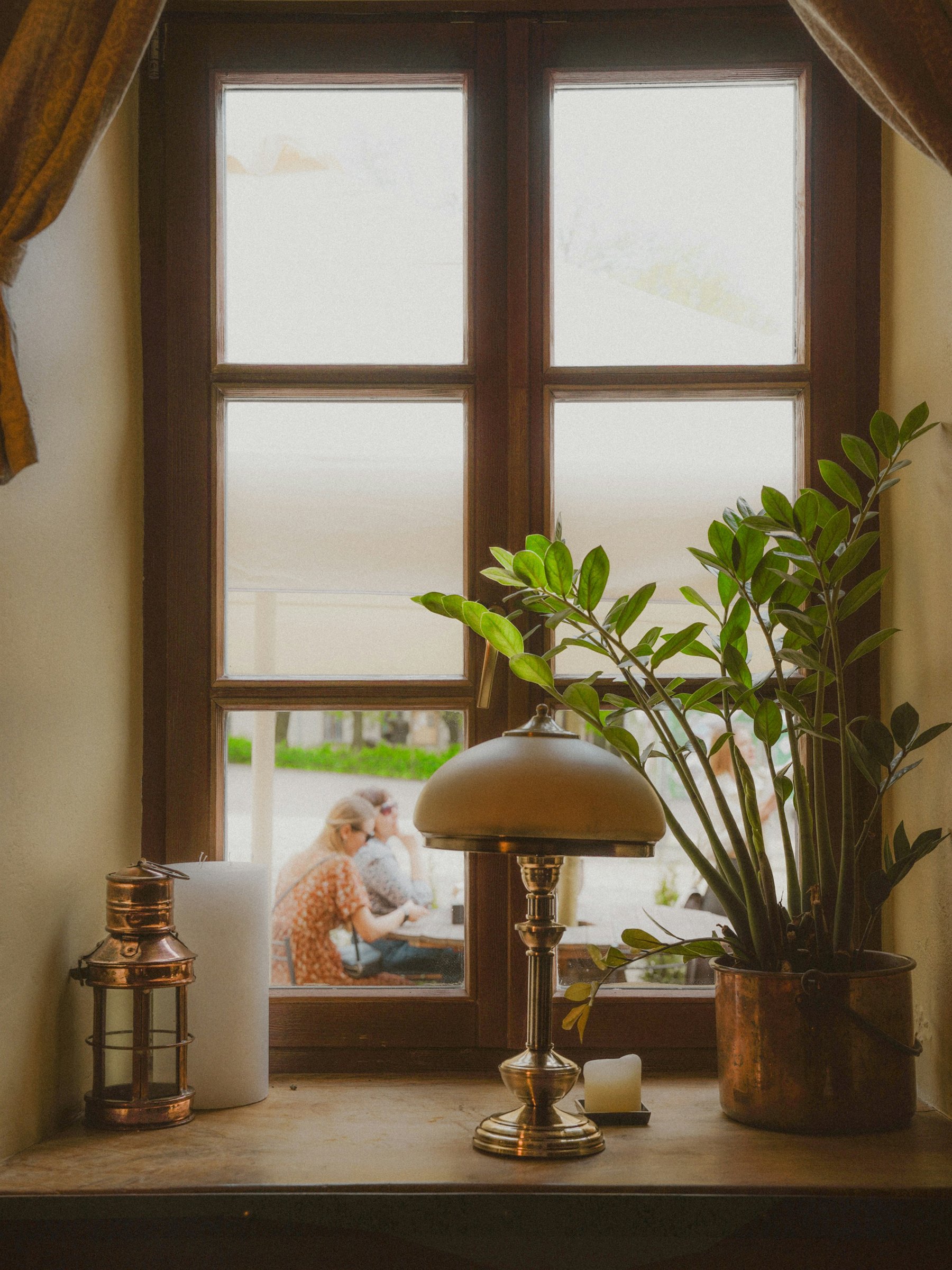 Warm window light, a plant, and a lamp creating a quiet reflective space
